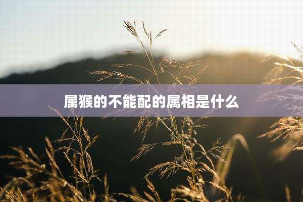 属猴的不能配的属相是什么
