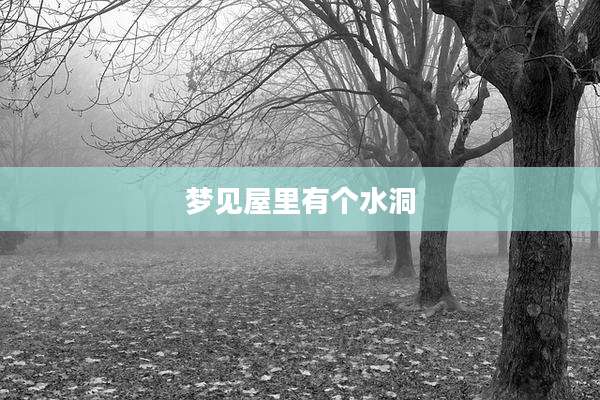 梦见屋里有个水洞