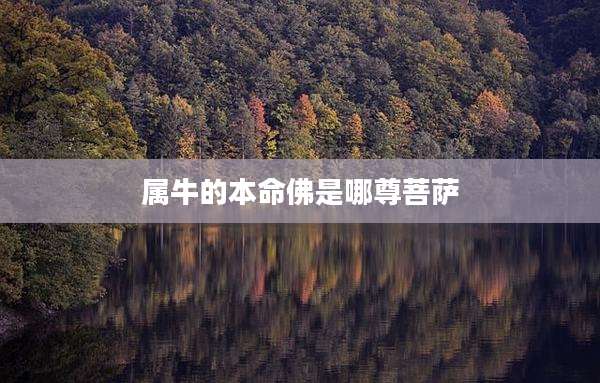 属牛的本命佛是哪尊菩萨