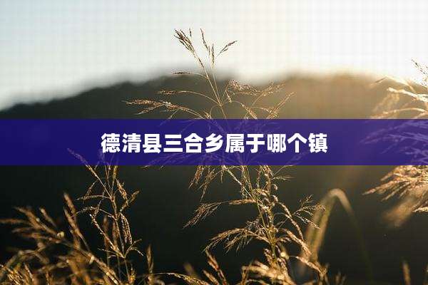 德清县三合乡属于哪个镇