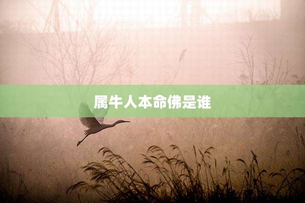 属牛人本命佛是谁