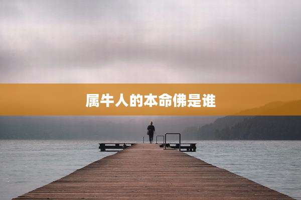 属牛人的本命佛是谁