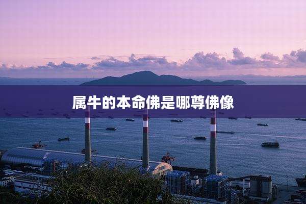 属牛的本命佛是哪尊佛像