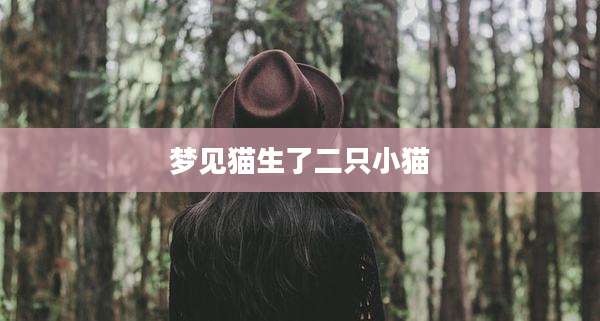 梦见猫生了二只小猫