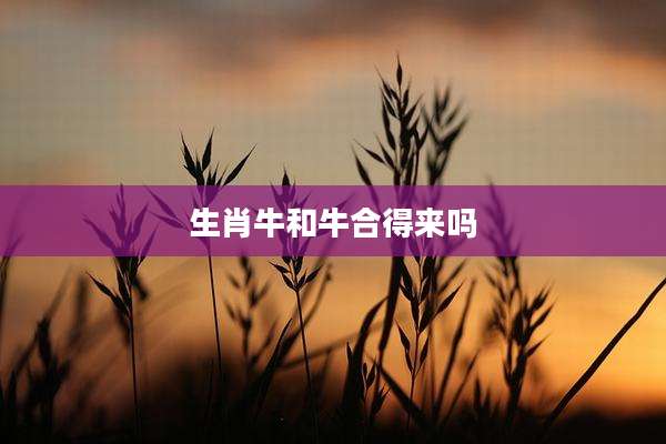 生肖牛和牛合得来吗