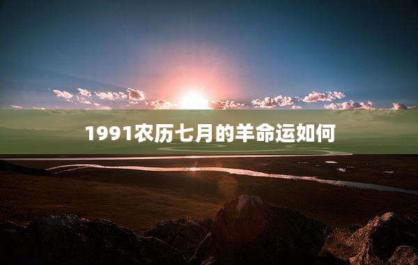 1991农历七月的羊命运如何