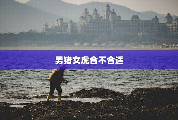 男猪女虎合不合适
