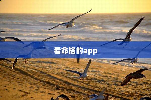 看命格的app