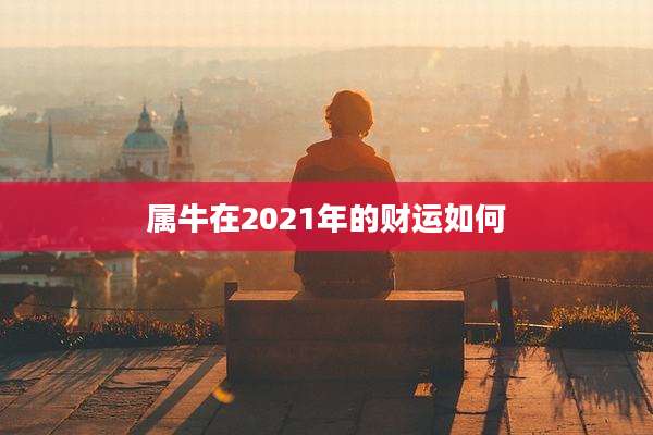 属牛在2021年的财运如何