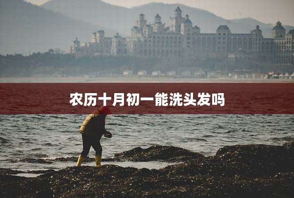 农历十月初一能洗头发吗