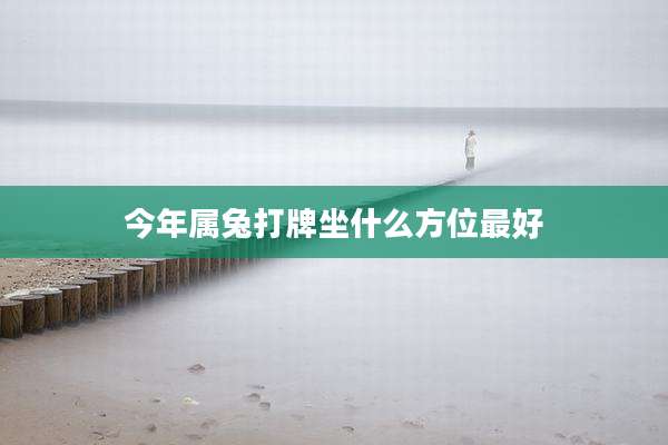 今年属兔打牌坐什么方位最好