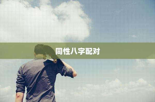 同性八字配对