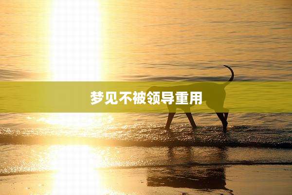 梦见不被领导重用