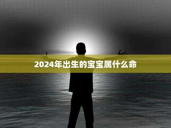 2024年出生的宝宝属什么命