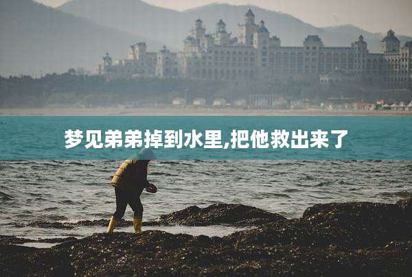 梦见弟弟掉到水里,把他救出来了