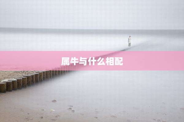 属牛与什么相配