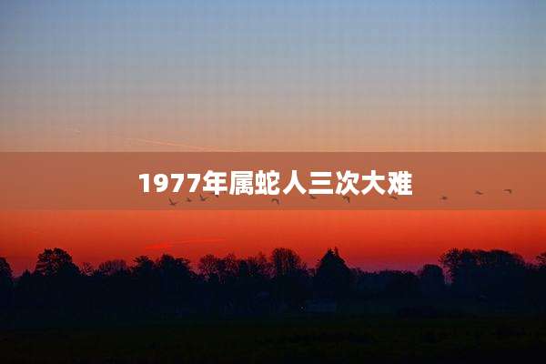1977年属蛇人三次大难