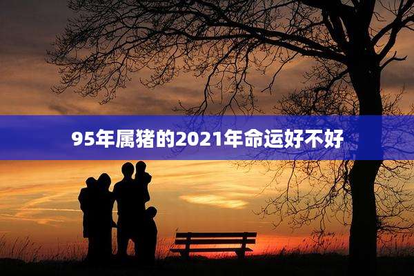 95年属猪的2021年命运好不好