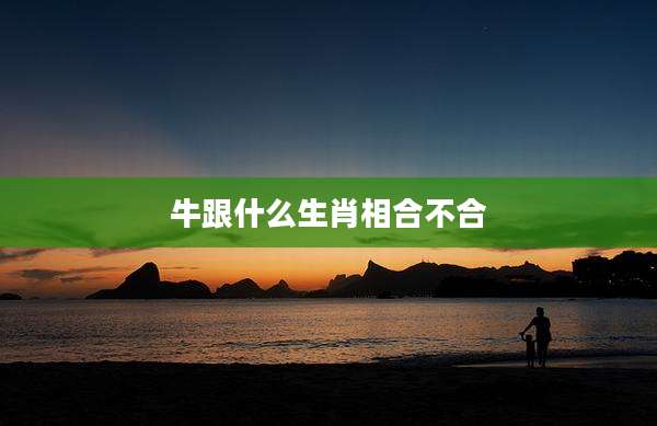 牛跟什么生肖相合不合