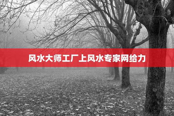 风水大师工厂上风水专家网给力