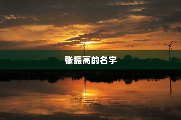 张振高的名字