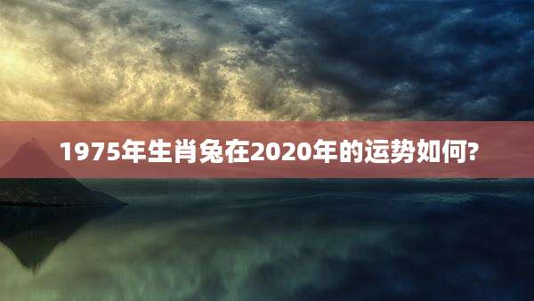 1975年生肖兔在2020年的运势如何?