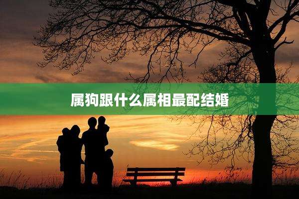 属狗跟什么属相最配结婚
