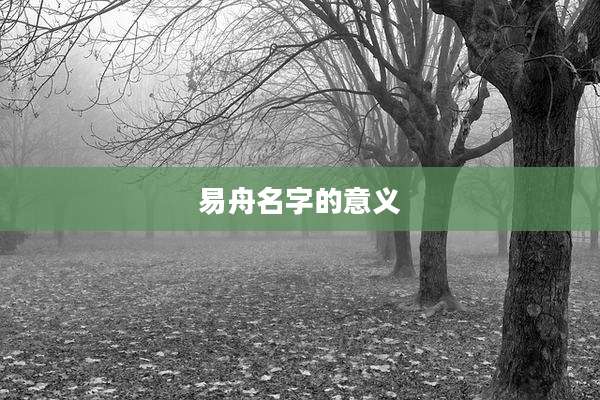 易舟名字的意义