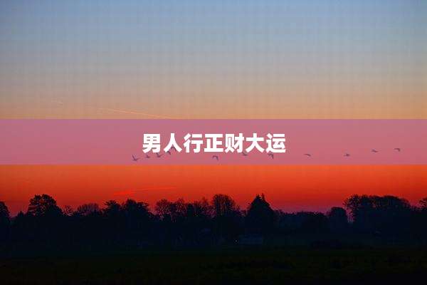 男人行正财大运