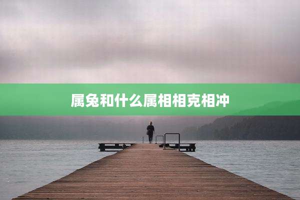 属兔和什么属相相克相冲