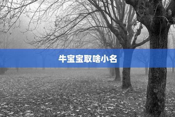 牛宝宝取啥小名