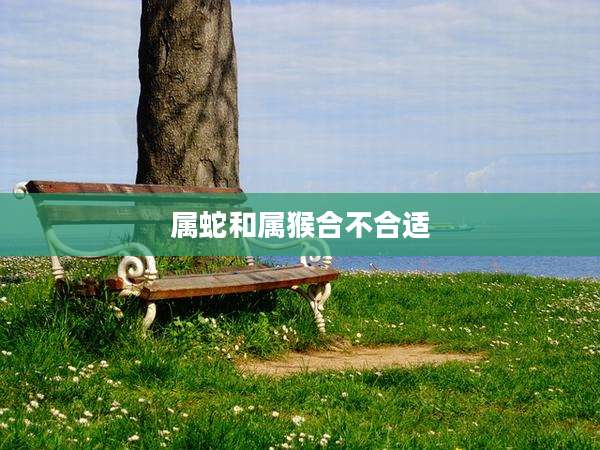 属蛇和属猴合不合适