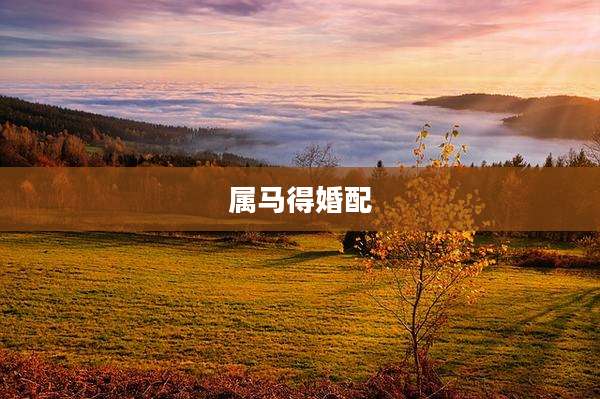 属马得婚配