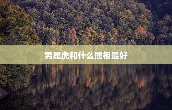 男属虎和什么属相最好