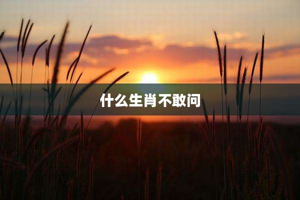 什么生肖不敢问
