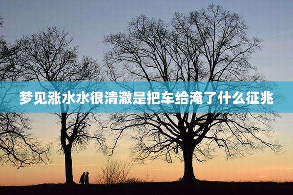 梦见涨水水很清澈是把车给淹了什么征兆