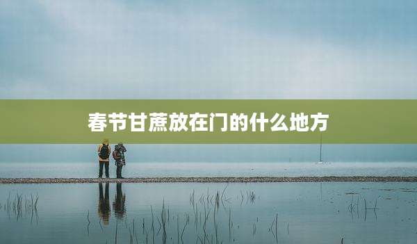 春节甘蔗放在门的什么地方