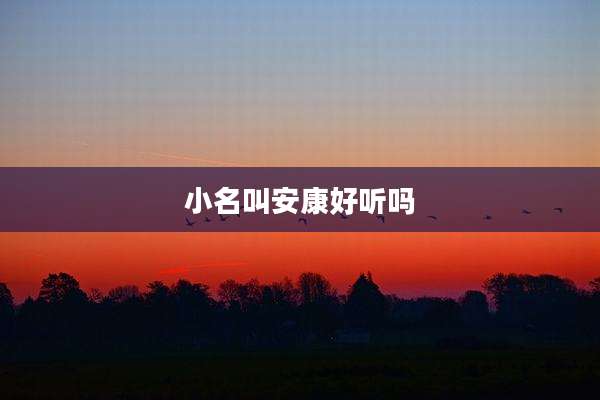 小名叫安康好听吗