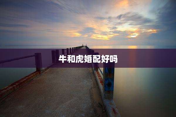 牛和虎婚配好吗