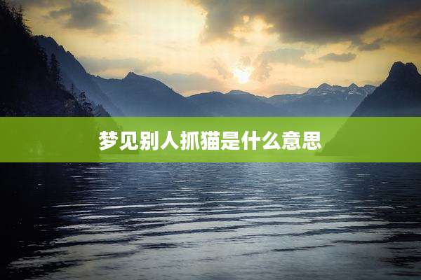 梦见别人抓猫是什么意思