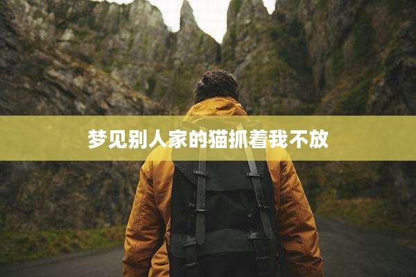 梦见别人家的猫抓着我不放