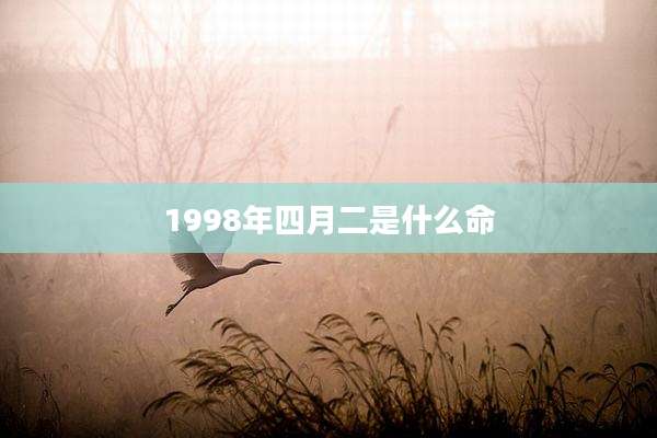 1998年四月二是什么命