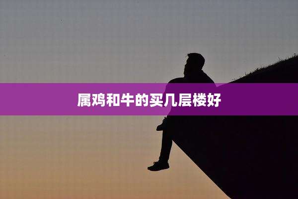 属鸡和牛的买几层楼好