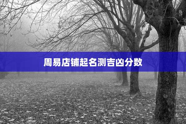 周易店铺起名测吉凶分数