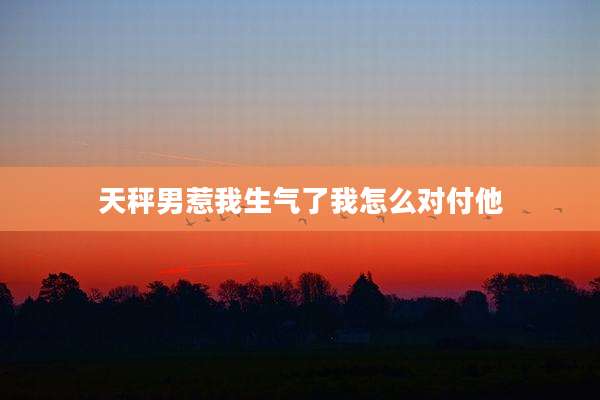 天秤男惹我生气了我怎么对付他
