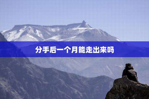 分手后一个月能走出来吗