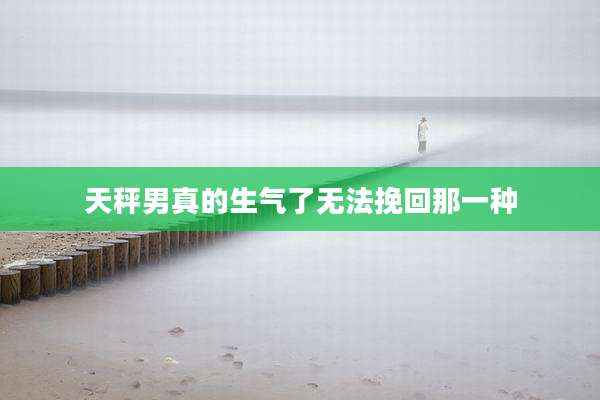 天秤男真的生气了无法挽回那一种
