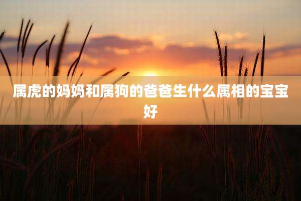 属虎的妈妈和属狗的爸爸生什么属相的宝宝好