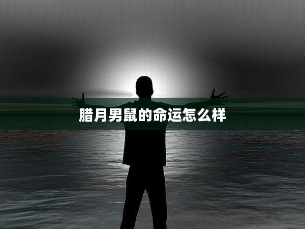 腊月男鼠的命运怎么样