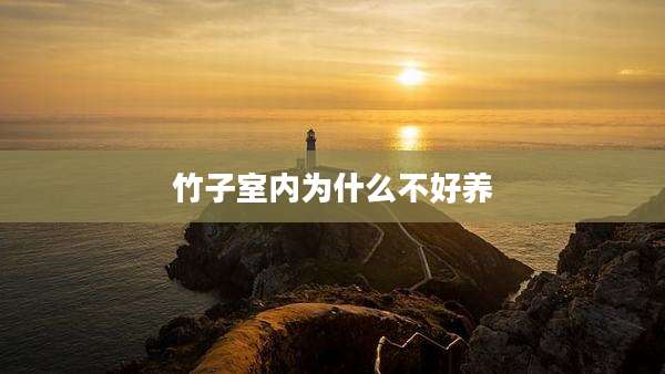 竹子室内为什么不好养
